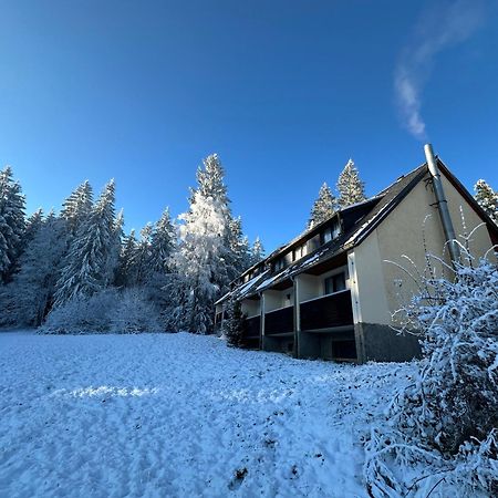 Waldhotel Zoebischhaus Bad Reiboldsgruen Bagian luar foto