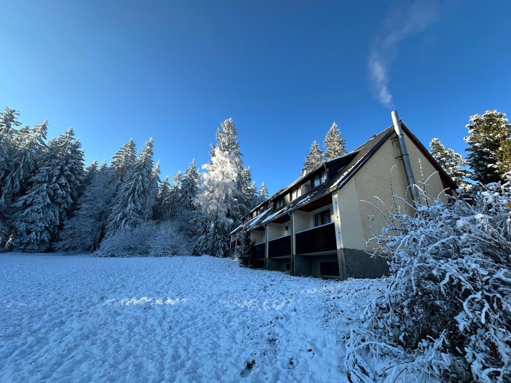 Waldhotel Zoebischhaus Bad Reiboldsgruen Bagian luar foto