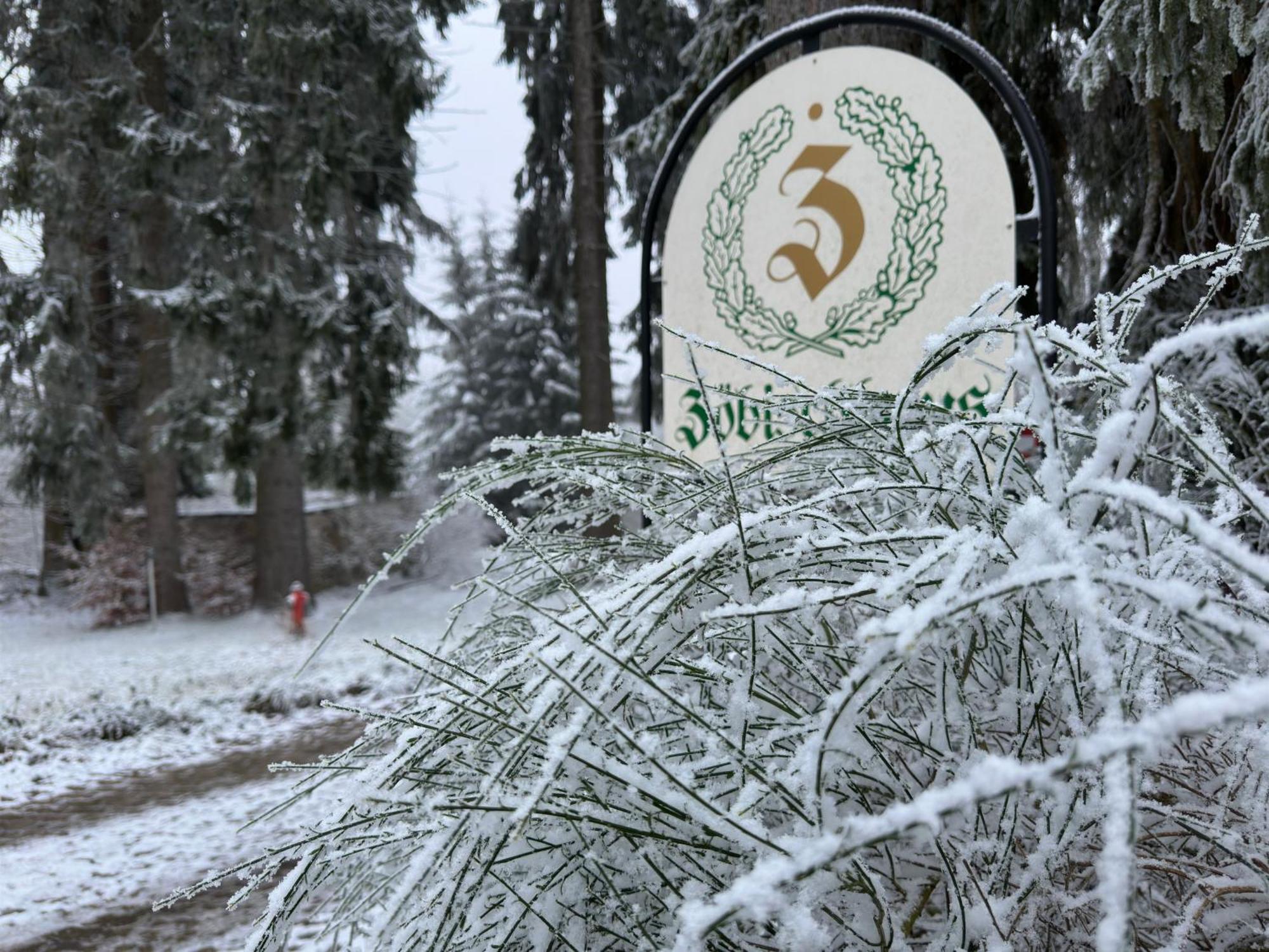 Waldhotel Zoebischhaus Bad Reiboldsgruen Bagian luar foto