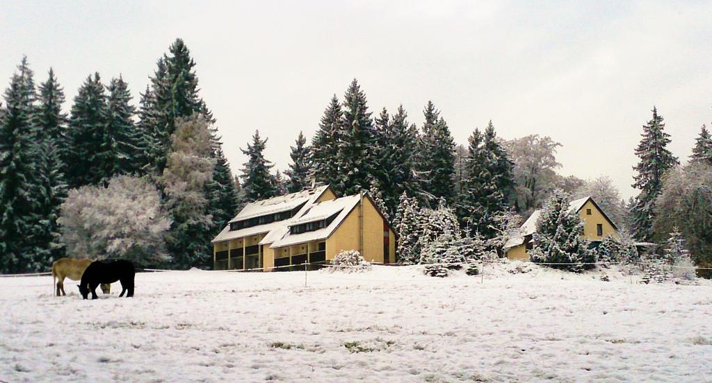 Waldhotel Zoebischhaus Bad Reiboldsgruen Bagian luar foto
